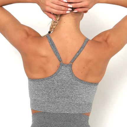 Apex | Seamless Sports Bra – Elevate Your Activewear in Dim Gray