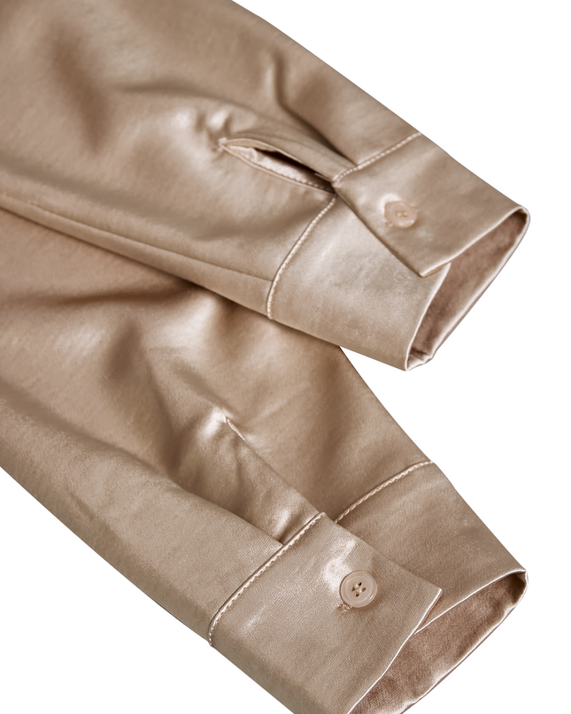 Moira | Draped Neck Long Sleeve Satin Blouse