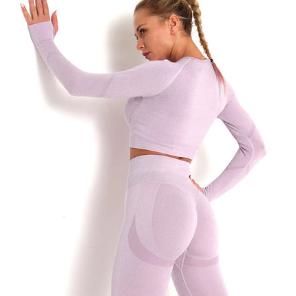 Apex | Long Sleeve Seamless Top – Soft Strength in a Feminine Hue - Thistle