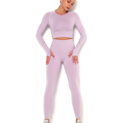 Apex | Long Sleeve Seamless Top – Soft Strength in a Feminine Hue - Thistle