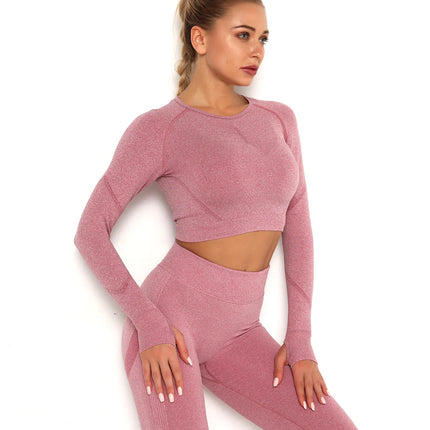 Apex | Long Sleeve Seamless Top – Contour Meets Comfort - Pale Violet Red