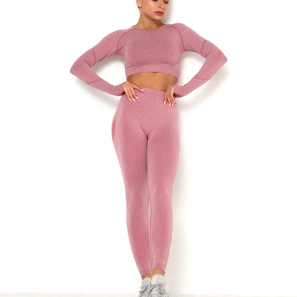 Apex | Long Sleeve Seamless Top – Contour Meets Comfort - Pale Violet Red